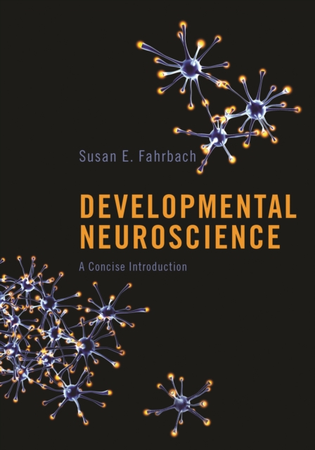 Developmental Neuroscience : A Concise Introduction, PDF eBook