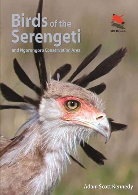 Birds of the Serengeti : And Ngorongoro Conservation Area, PDF eBook