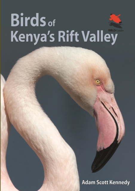 Birds of Kenya's Rift Valley, PDF eBook