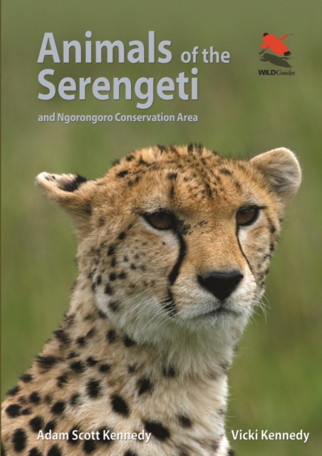 Animals of the Serengeti : And Ngorongoro Conservation Area, PDF eBook