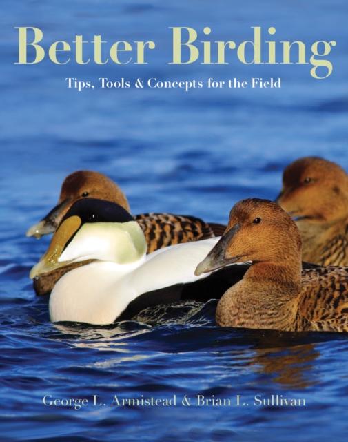 Better Birding : Tips, Tools, and Concepts for the Field, PDF eBook
