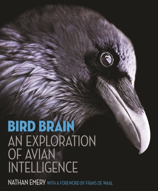 Bird Brain : An Exploration of Avian Intelligence, PDF eBook