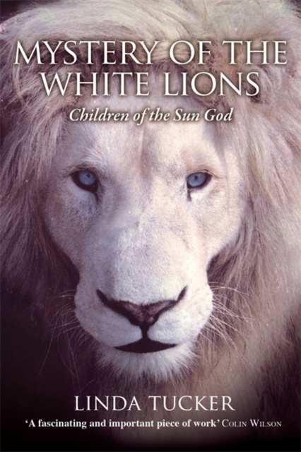 Mystery of the White Lions : Children of the Sun God, Paperback / softback Book