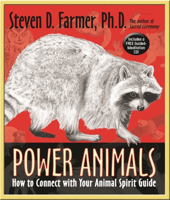 Power Animals : How to Connect with Your Animal Spirit Guide, Paperback / softback Book