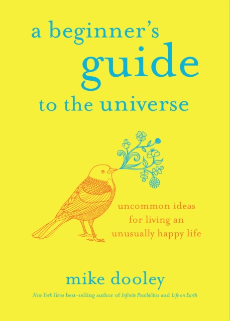 Beginner's Guide to the Universe, EPUB eBook