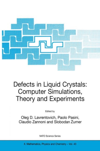 Defects in Liquid Crystals: Computer Simulations, Theory and Experiments, Paperback / softback Book