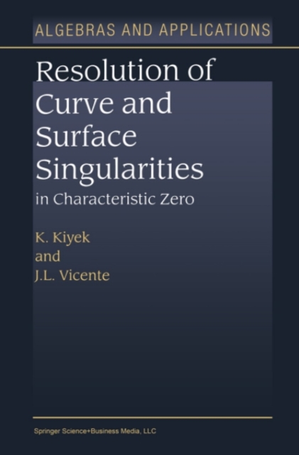 Resolution of Curve and Surface Singularities in Characteristic Zero, PDF eBook