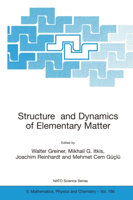 Structure and Dynamics of Elementary Matter, PDF eBook