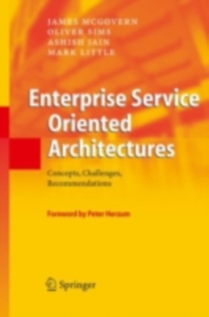 Enterprise Service Oriented Architectures : Concepts, Challenges, Recommendations, PDF eBook