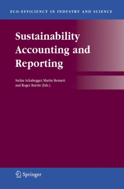 Sustainability Accounting and Reporting, Paperback / softback Book