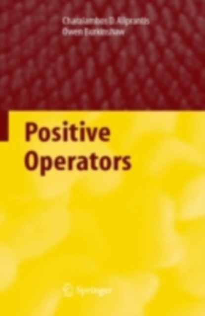 Positive Operators, PDF eBook