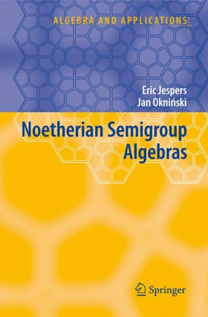 Noetherian Semigroup Algebras, Hardback Book