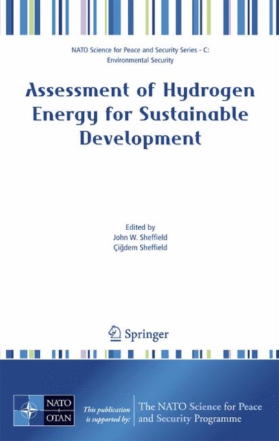 Assessment of Hydrogen Energy for Sustainable Development, Hardback Book