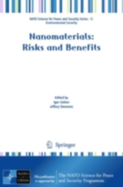 Nanomaterials : Risks and Benefits, PDF eBook