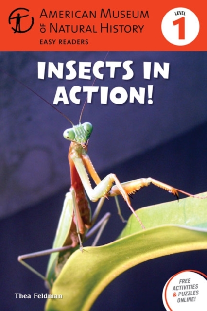 Insects in Action! : Level 1, Paperback / softback Book