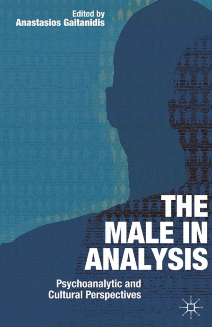 The Male In Analysis : Psychoanalytic and Cultural Perspectives, Paperback / softback Book