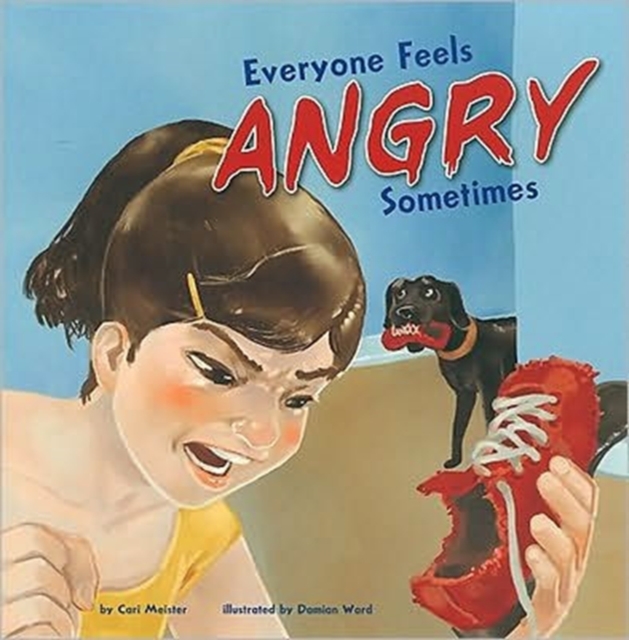 Everyone Feels Angry Sometimes, Paperback Book