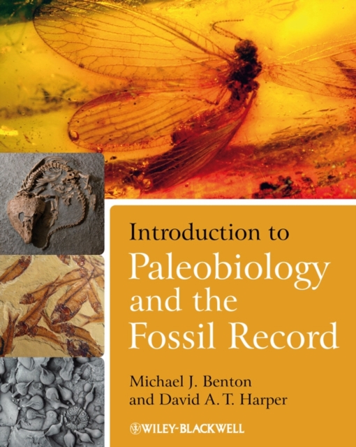 Introduction to Paleobiology and the Fossil Record, Paperback / softback Book