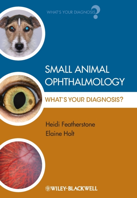 Small Animal Ophthalmology : What's Your Diagnosis?, Paperback / softback Book