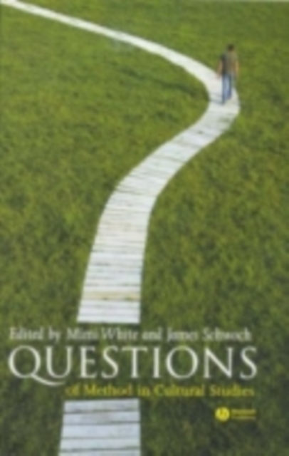 Questions of Method in Cultural Studies, PDF eBook