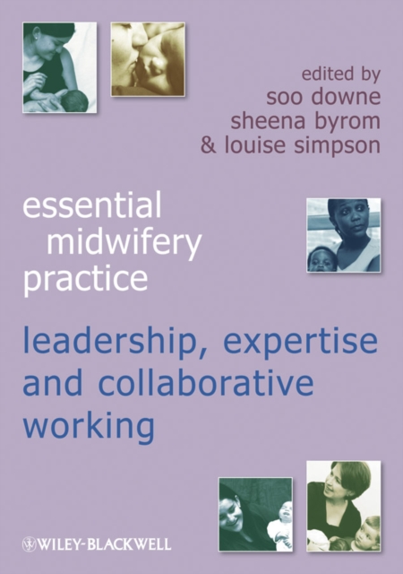 Expertise Leadership and Collaborative Working, Paperback / softback Book
