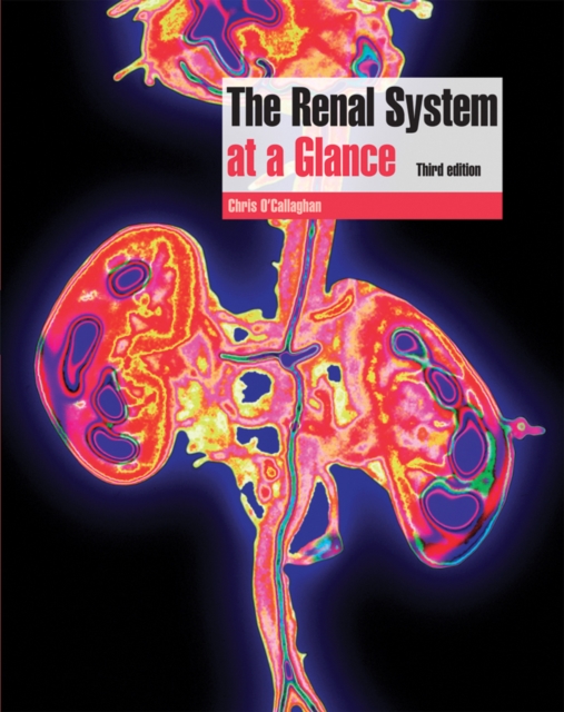 The Renal System at a Glance, Paperback Book