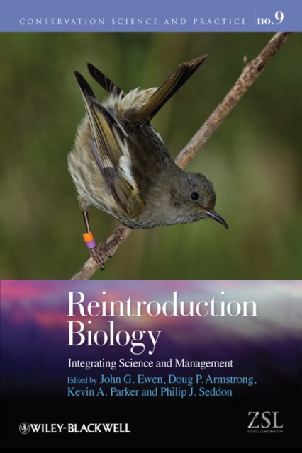Reintroduction Biology : Integrating Science and Management, Paperback / softback Book