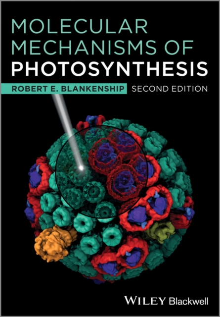 Molecular Mechanisms of Photosynthesis, Paperback / softback Book