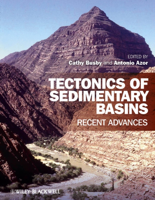 Tectonics of Sedimentary Basins : Recent Advances, Hardback Book