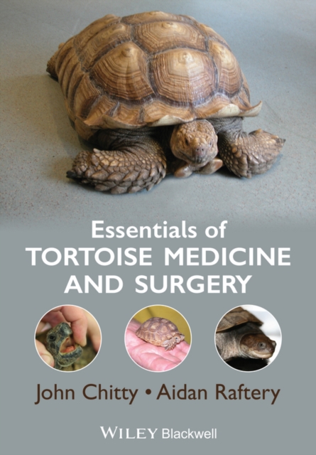 Essentials of Tortoise Medicine and Surgery, Paperback / softback Book