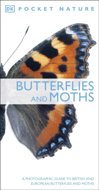 Butterflies and Moths : A Photographic Guide to British and European Butterflies and Moths, Paperback / softback Book
