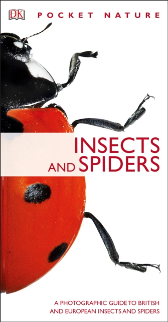 Insects and Spiders, Paperback Book