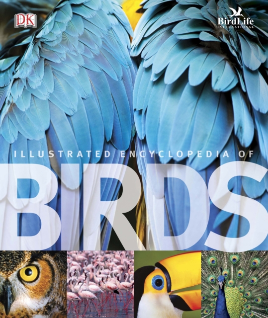 The Illustrated Encyclopedia of Birds, Hardback Book