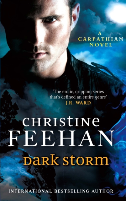 Dark Storm : Number 23 in series, EPUB eBook