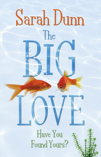 The Big Love, EPUB eBook