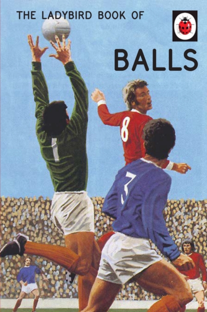 The Ladybird Book of Balls : The perfect gift for fans of the World Cup, EPUB eBook