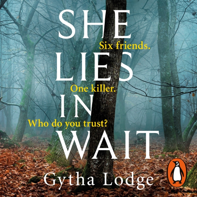 She Lies in Wait : The gripping Sunday Times bestselling Richard & Judy thriller pick, eAudiobook MP3 eaudioBook