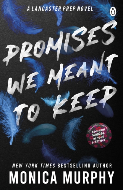 Promises We Meant To Keep, EPUB eBook
