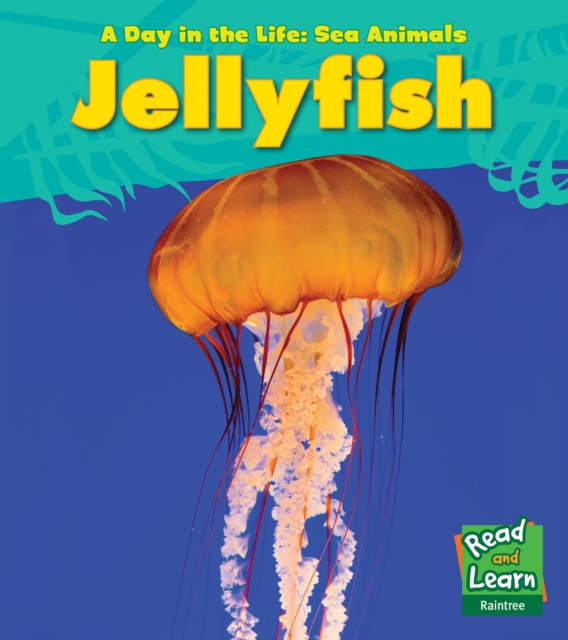 Jellyfish, Hardback Book