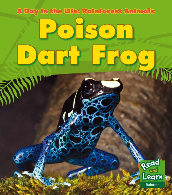 Poison Dart Frog, Hardback Book