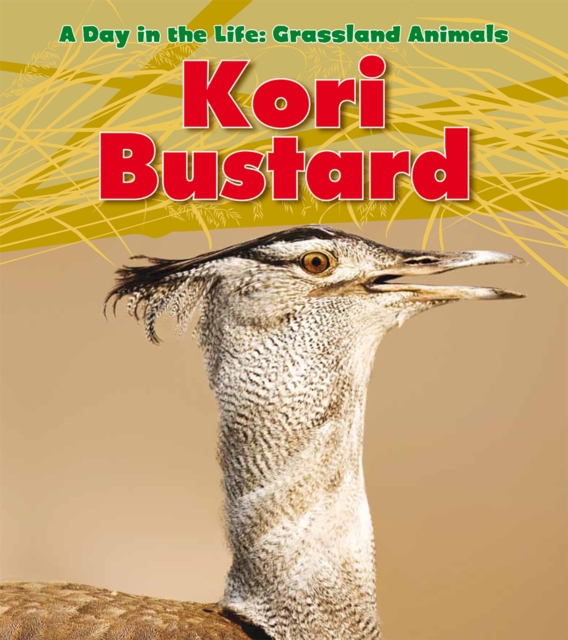 Kori Bustard, Hardback Book