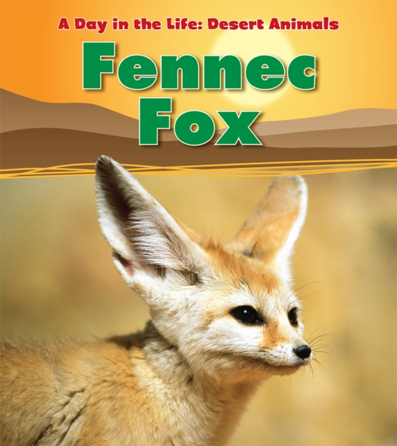 Fennec Fox, Hardback Book