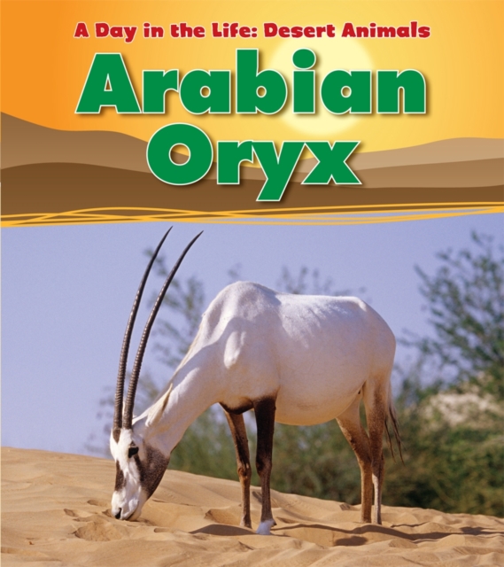 Arabian Oryx, Paperback / softback Book
