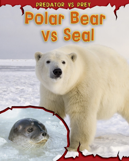 Polar Bear vs Seal, Paperback Book