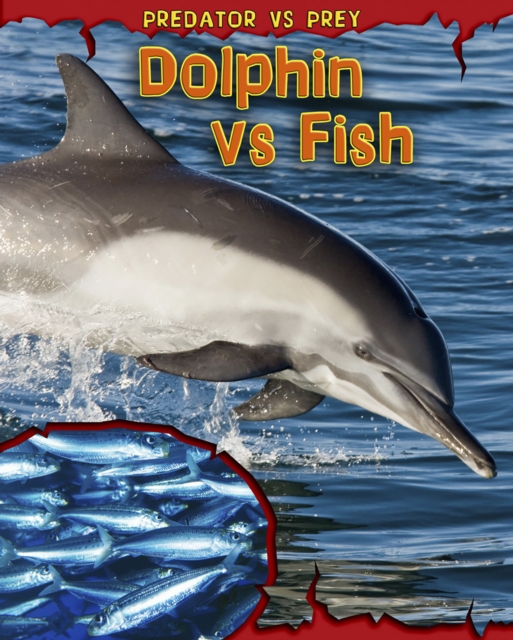 Dolphin vs Fish, Paperback / softback Book