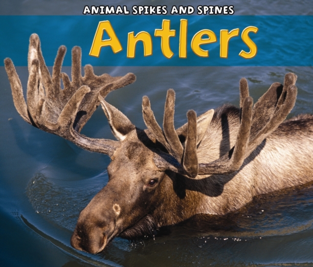 Antlers, Paperback Book