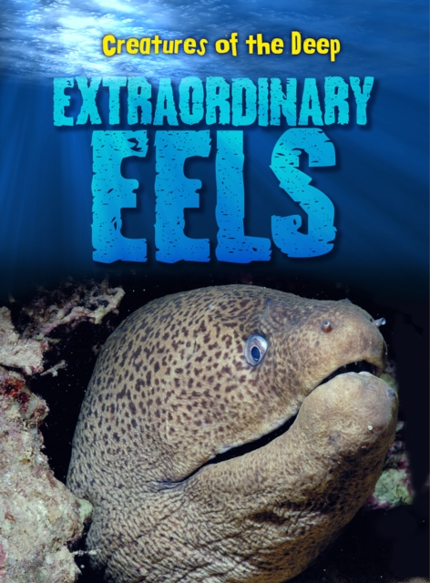 Extraordinary Eels, Hardback Book