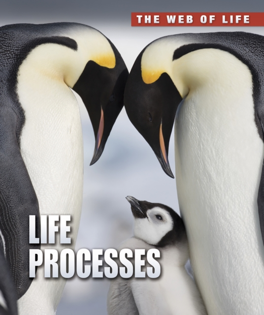 Life Processes, Paperback / softback Book