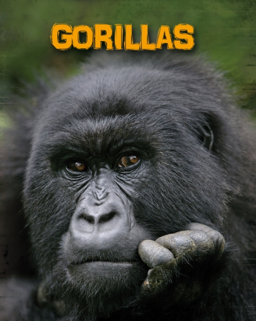 Gorillas, Hardback Book