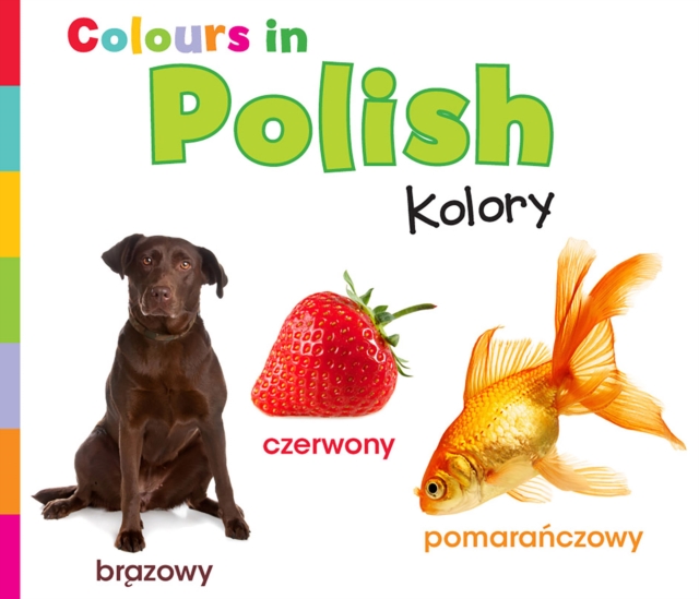 Colours in Polish : Kolory, Paperback / softback Book
